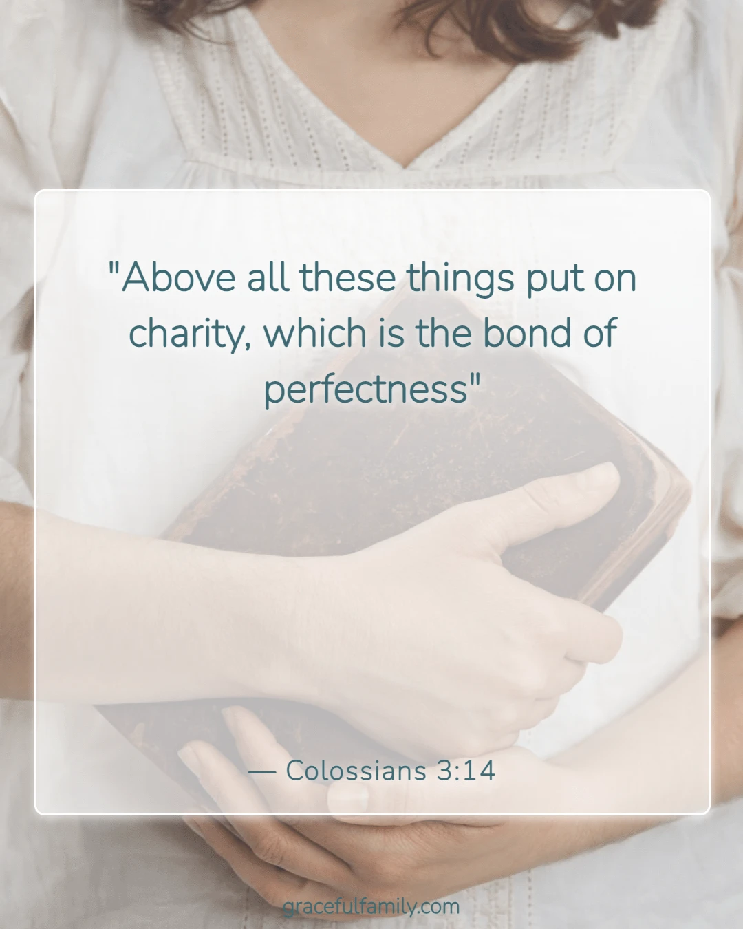 Bible Verses About Family Unity and Love (Colossians 3:14)